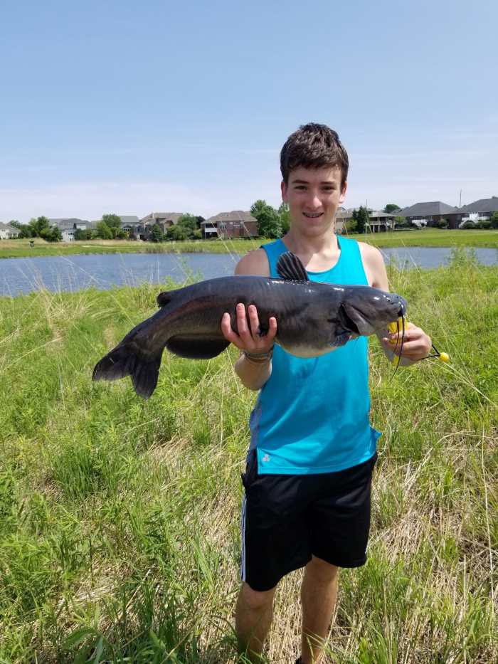 Tipton Park Fishing