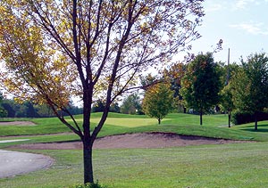 prairie vista